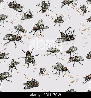 mouche, insecte, diverses poses, mouvements et prévisions de figures, noir, couleur, motif Illustration de Vecteur