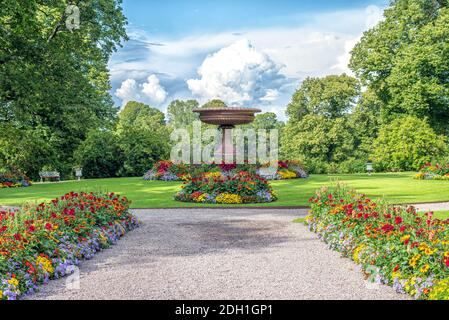 Fleurs colorées dans le jardin, belle ferme de fleurs en été Banque D'Images