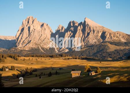 Alpe di Siusi au coucher du soleil par une journée d'été claire, Dolomites, Italie, Europe. Seiser Alm est un plateau des Dolomites et le plus grand pré alpin de haute altitude Banque D'Images