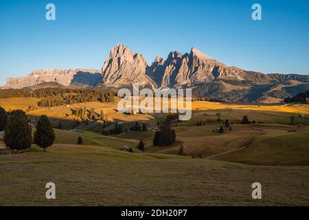 Alpe di Siusi au coucher du soleil par une journée d'été claire, Dolomites, Italie, Europe. Seiser Alm est un plateau des Dolomites et le plus grand pré alpin de haute altitude Banque D'Images