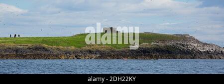 Îles Farne Northumberland Angleterre Royaume-Uni à l'approche de la mer vue panoramique Banque D'Images