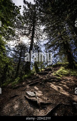 Olympe de montagne en grèce. Paysage alpin en haute altitude. Banque D'Images