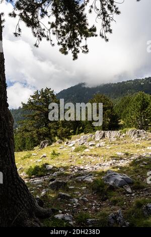 Olympe de montagne en grèce. Paysage alpin en haute altitude. Banque D'Images