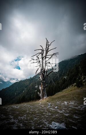 Olympe de montagne en grèce. Paysage alpin en haute altitude. Banque D'Images