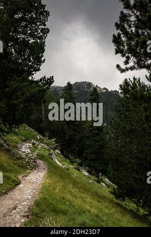 Olympe de montagne en grèce. Paysage alpin en haute altitude. Banque D'Images