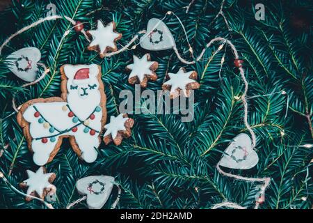Biscuit au lama de pain d'épice sur fond de branches d'épinette verte ou d'if avec des étoiles de pain de gingembre, des coeurs gris de wodden et des lumières LED de fée, mignon doux Banque D'Images