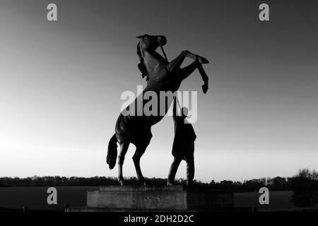 Lever de soleil au-dessus de la statue de étalon de Newmarket par Marcia Astor et Allan Sly, à l'hippodrome de Newmarket, Suffolk, Angleterre, Royaume-Uni Banque D'Images