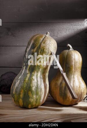 Dans le sous-sol frais, les citrouilles mûres sont stockées sur une étagère en bois. Vue avant, gros plan, espace de copie. Banque D'Images