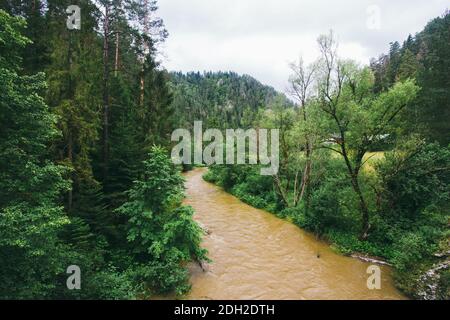 Rivière de montagne sale après la pluie. Moody montagne rivière dans le parc national slovaque paradis, République slovaque. Inondation d'eau sur la rivière af Banque D'Images