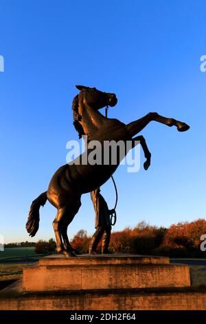 Lever de soleil au-dessus de la statue de étalon de Newmarket par Marcia Astor et Allan Sly, à l'hippodrome de Newmarket, Suffolk, Angleterre, Royaume-Uni Banque D'Images