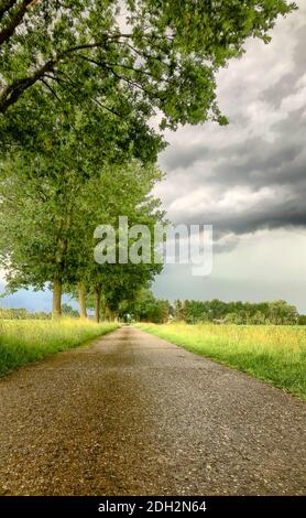 L'arrivée d'une grande tempête, tempête ou ouragan sur le paysage de campagne. Banque D'Images