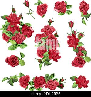 Fleurs bordure sans couture isolée sur fond blanc. Illustration de roses dessinée à la main. Illustration de Vecteur