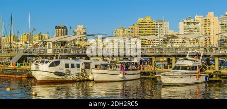 Bateaux garés au port de Punta del Este, Uruguay Banque D'Images