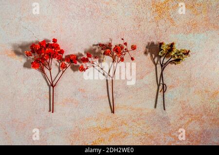 Trois brindilles aux fleurs séchées (dont l'une est différente du reste) sur un fond de grunge en ciment rose pastel et pêche. Concept de différenciation Banque D'Images