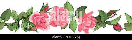 Bordure sans couture tirée à la main de roses roses, de feuilles, de bourgeons et d'une fleur ouverte. Fleur rose, feuilles vertes. Concept de mariage. Affiche florale, invitation. Illustration de Vecteur