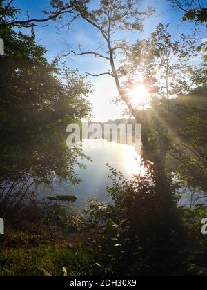 Aube matinale encadrée au bord du lac avec rayons du soleil à travers les arbres, réfléchi sur l'eau, ciel bleu vif en arrière-plan Banque D'Images
