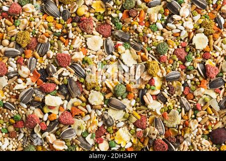 Variété de mélange coloré de graines pour oiseaux affiché sur une surface plane avec des graines et des légumes séchés Banque D'Images