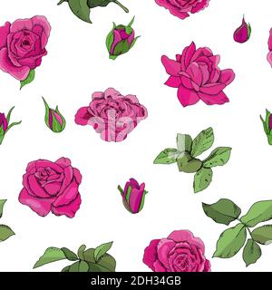 Motif fleuri sans couture. Illustration vectorielle dessinée à la main de roses. Pour les textiles, le papier peint, le tissu, les boîtes-cadeaux, les cartes de vœux et les invitations Illustration de Vecteur