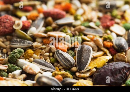 Mélange coloré de graines pour oiseaux comprenant des graines, des noix et des fruits secs sur une surface en bois pendant la journée Banque D'Images
