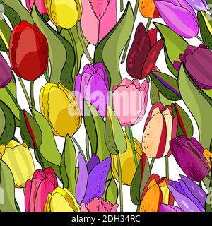 Magnifique motif tulipe sauvage fleuri sans couture dans un style de dessin à la main sur fond blanc, enveloppe. Fleur botanique Vector Floral. Lame de ressort sauvage Illustration de Vecteur