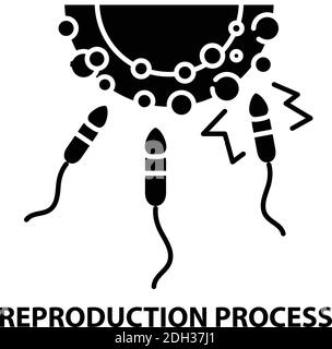 icône du processus de reproduction, signe vectoriel noir avec traits modifiables, illustration du concept Illustration de Vecteur