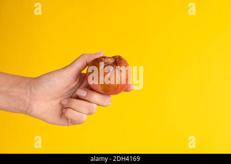 Une main femelle tient une pomme pourrie avec un ver sur fond jaune. Produits périmés. Banque D'Images