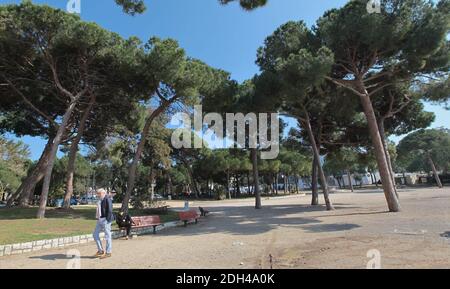 L'écureuil à ventre rouge (de son nom latin Callosciurus), espèce envahissante dans les Alpes-Maritimes, France, le 24 juillet 2017. Au rythme de trois atteint un an à Antibes, Vallauris, le Cannet et Cannes et le fait de la compétition à l'écureuil roux à ventre blanc. Photo de Patrick Clemente/ABACAPRESS.COM Banque D'Images
