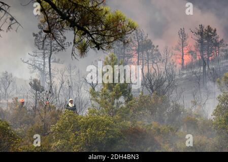 Les pompiers tentent d'éteindre un incendie à Bormes-les-Mimosas, dans le sud-est de la France, le 26 juillet 2017. Au moins 10,000 personnes, dont des milliers de vacanciers, ont été évacuées la nuit après l'explosion d'un nouveau feu de forêt dans le sud de la France, qui affrontait déjà des blazettes massives, ont déclaré les autorités le 26 juillet. Photo par ABACAPRESS.COM Banque D'Images