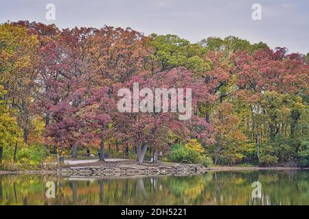 Automne dans le parc avec divers arbres bordant le Lakeshore dans les feuilles rouges, orange et jaune comme reflété dans l'eau Banque D'Images