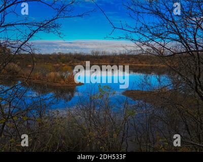 Reflet des arbres dans l'eau : vue magnifique et dynamique sur un ciel bleu brillant reflété dans l'eau dans une scène de paysage de la fin de l'automne Banque D'Images