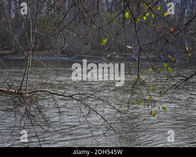 Fin de l'automne sur la rivière : l'eau de la rivière tourbillonne dans la vue sur le paysage encadrée par des branches d'arbres avec seulement quelques feuilles de couleur d'automne restantes Banque D'Images