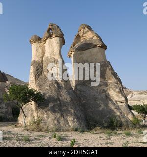 Groupe de cheminées de fées formation rocheuse typique à Goreme, Cappadoce - Turquie Banque D'Images