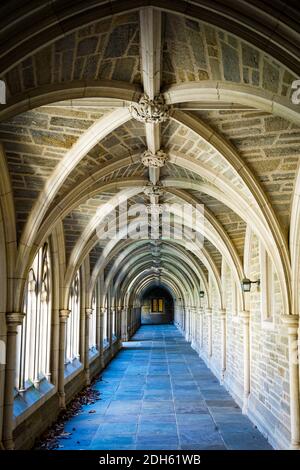 Rockefeller College Cloister, Princeton University, Princeton, New Jersey Banque D'Images