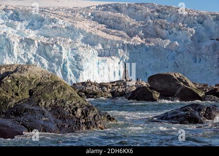 Pingouins et buste du capitaine Luis Pardo Villalon sur la plage, point Wild, Elephant Island, Antarctique Banque D'Images