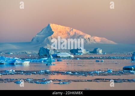 Île enneigée et glace flottante dans l'océan Atlantique Sud, Antarctique Banque D'Images