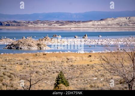 Paysage autour du lac mono en californie Banque D'Images