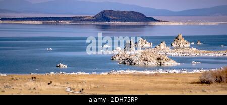 Paysage autour du lac mono en californie Banque D'Images