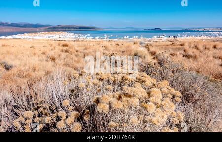 Paysage autour du lac mono en californie Banque D'Images