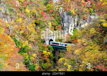 Le train traverse le tunnel dans la gorge de Naruko, Miyagi, Tohoku, Japon. Banque D'Images