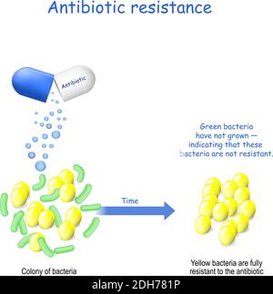 Résistance aux antibiotiques. Deux types de bactéries (non résistantes et entièrement résistantes). Colonie de bactéries et capsule avec antibiotique. Illustration de Vecteur