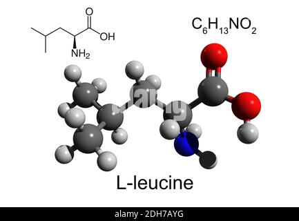 Chemical formula, structural formula and 3D ball-and-stick model of L-leucine, an essential amino acid, white background Stock Photo