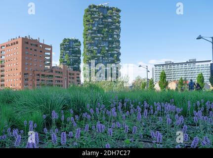 Complexe résidentiel composé de deux gratte-ciel dans le quartier vert de Porta Nuova appelé Bosco Verticale, vertical Wood.Milan,Lombardie,Italie Banque D'Images