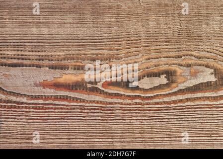 Vue sur une planche en bois en chêne avec anneaux annuels et texture naturelle. Banque D'Images