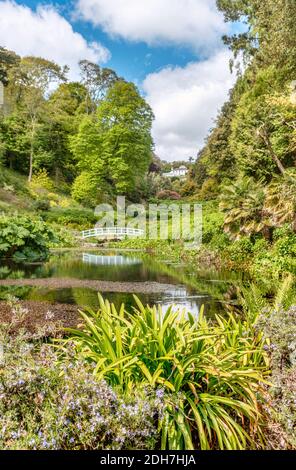 Mallard Pool au centre de Trebah Garden, Cornwall, Angleterre, Royaume-Uni Banque D'Images