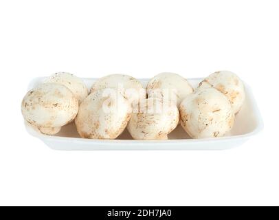 Champignons porcini crus dans plateau en néoprène isolé sur fond blanc Banque D'Images