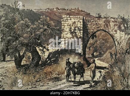 Gravure sur le bois de la colline de Samarie de la Palestine pittoresque, du Sinaï et de l'Égypte par Wilson, Charles William, sir, 1836-1905; Lane-Poole, Stanley, Banque D'Images