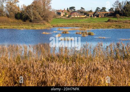 Paysage de la rivière Deben Ramsholt, Suffolk, Angleterre, Royaume-Uni bâtiments de ferme simper Farms Banque D'Images