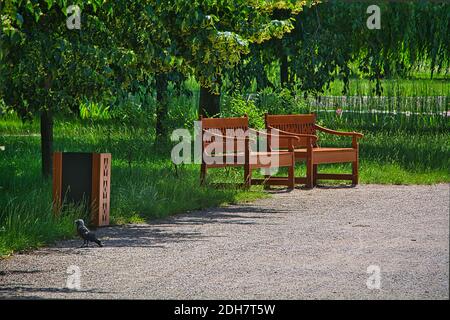 Un banc et une poubelle dans un parc public. Banque D'Images