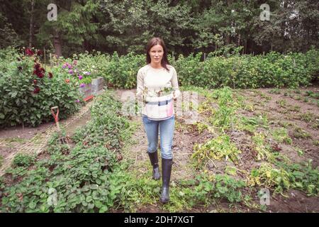 Pleine longueur de femme transportant le seau tout en marchant sur bio ferme Banque D'Images