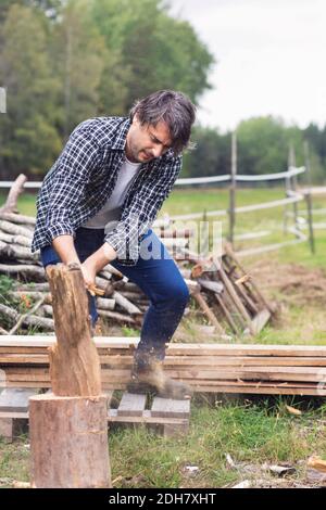 Homme de taille moyenne adulte coupant du bois de chauffage dans la cour Banque D'Images